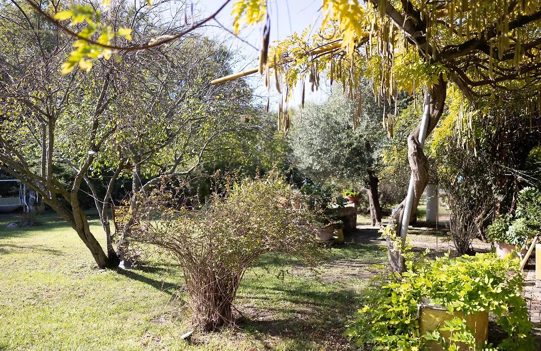 Locanda Acetaia Malagoli Daniele-1